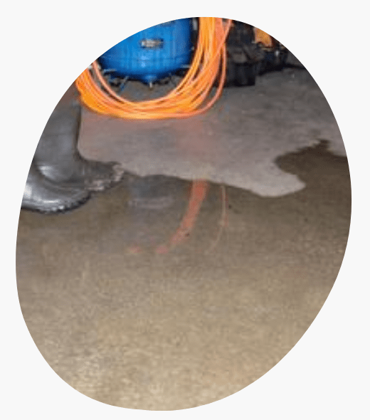 Flood Damage Restoration Service Tarneit