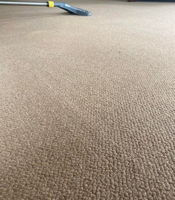 Best Carpet Cleaning Tarneit